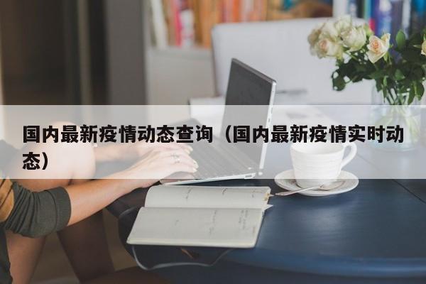 国内最新疫情动态查询（国内最新疫情实时动态）